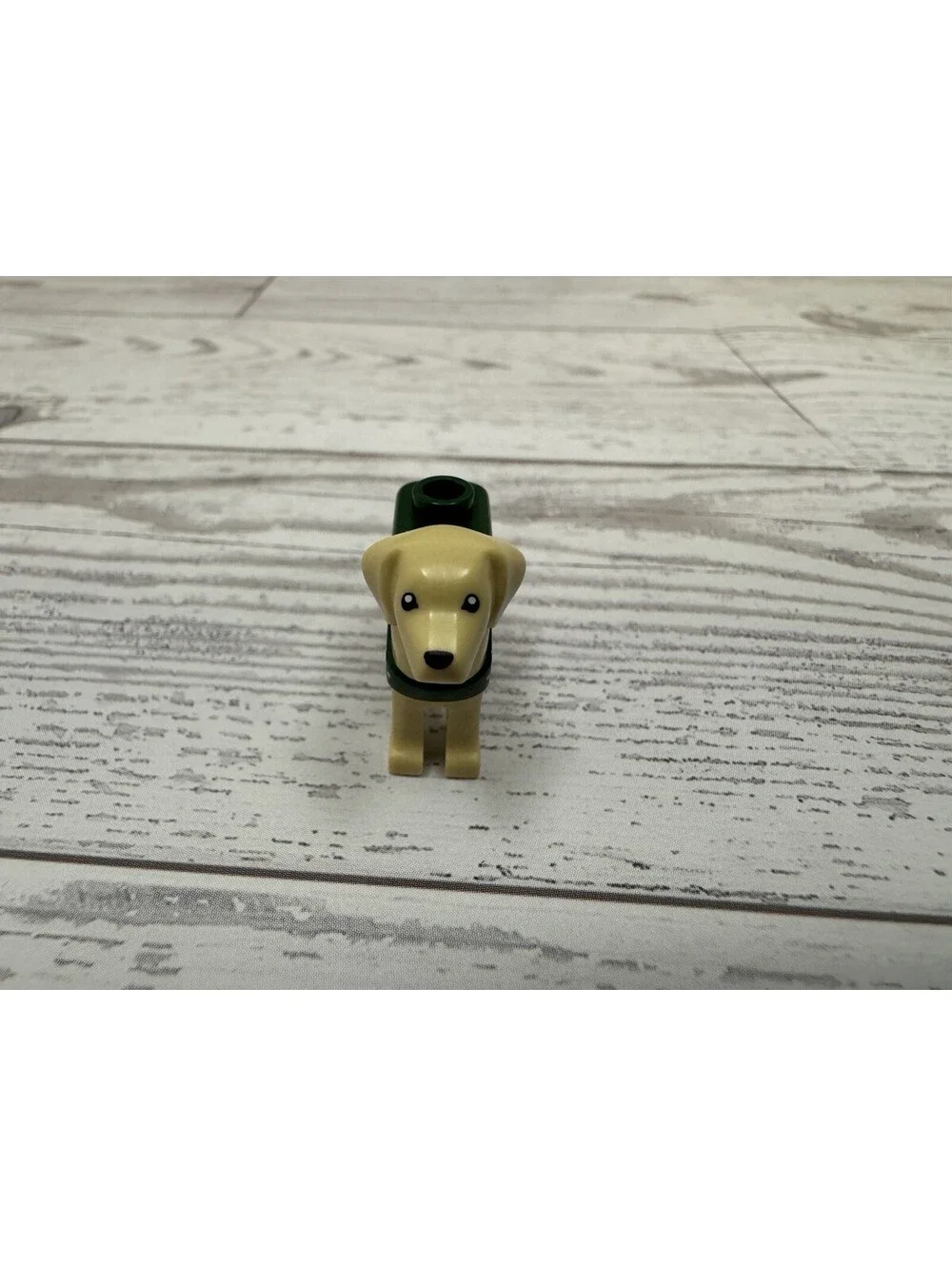 Lego Tan Labrador Rescue Dog with Molded Dark Green Sweater Christmas Dog Bones